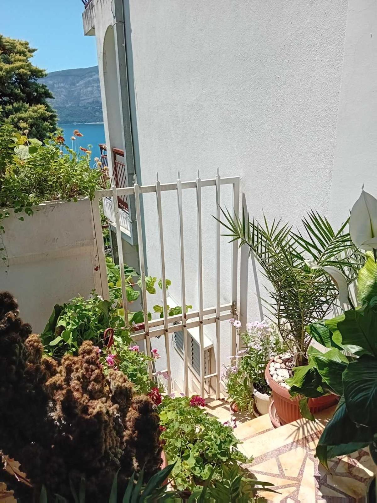 Guest House Cinderella Herceg Novi Bagian luar foto